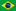 Brazilian Flag